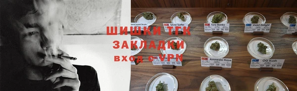 молекула духа Алексин
