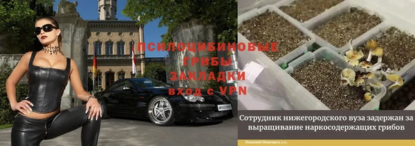 молекула духа Алексин