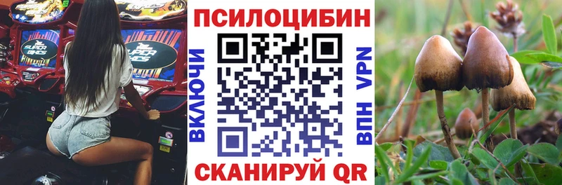 hydra ссылки  Сарапул  Псилоцибиновые грибы прущие грибы 